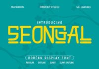 Seongal Font - Featured Image