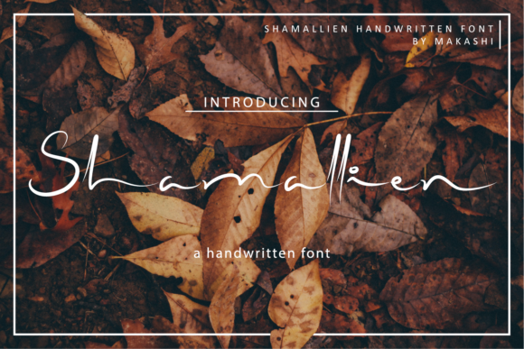 Shamallien Font - Featured Image