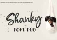 Shanky Font - Featured Image