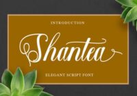 Shantea Font - Featured Image