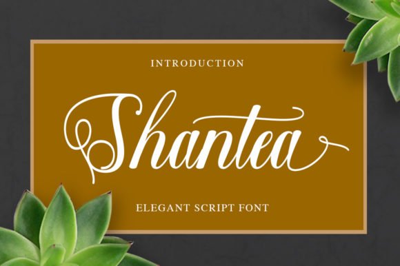 Shantea Font - Featured Image