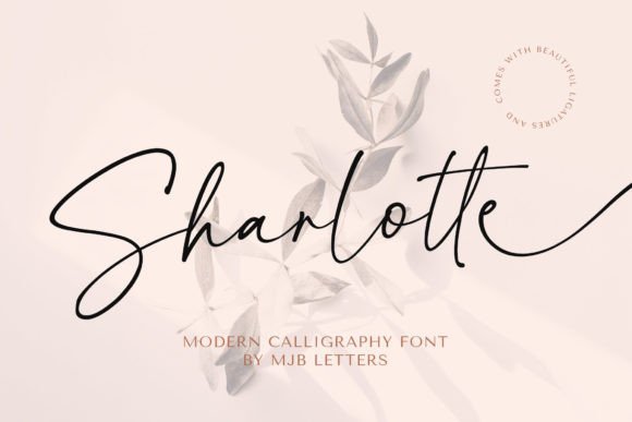 Sharlotte Font - Featured Image