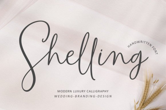 Shelling Font - Featured Image
