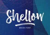 Shellow Font - Featured Image