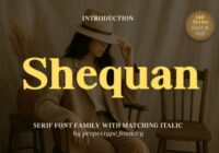 Shequan Font - Featured Image