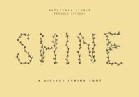Shine Font - Featured Image