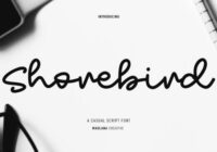 Shorebird Font - Featured Image