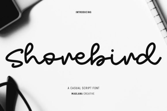 Shorebird Font - Featured Image