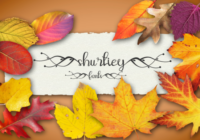 Shurtiey Font - Featured Image