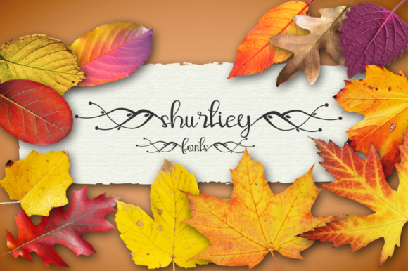 Shurtiey Font - Featured Image