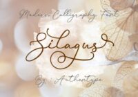 Silagus Font - Featured Image