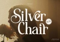 Silver Chair Font - Featured Image