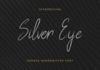 Silver Eye Font - Featured Image