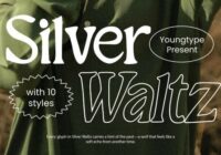 Silver Waltz Font - Featured Image