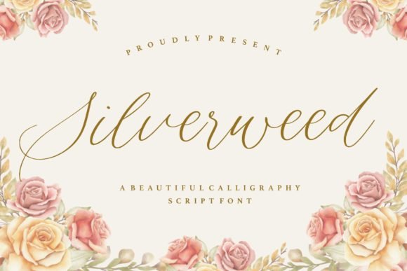 Silverweed Font - Featured Image