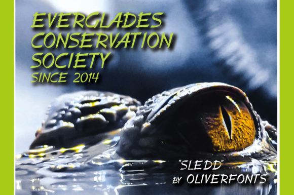 Sledd Font - Featured Image