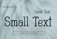 Small Text Font - Featured Image