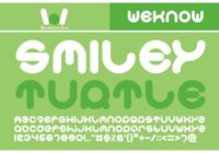 Smiley Turtle Font - Featured Image