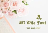 Sn Wila Font - Featured Image