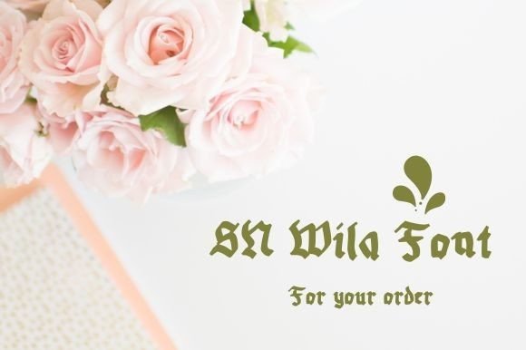 Sn Wila Font - Featured Image