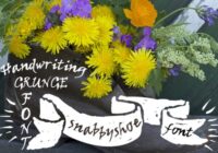 Snabbyshoe Font - Featured Image