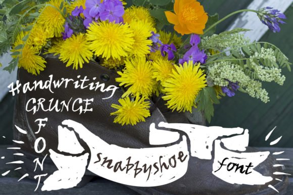 Snabbyshoe Font - Featured Image