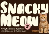 Snacky Meow Font - Featured Image