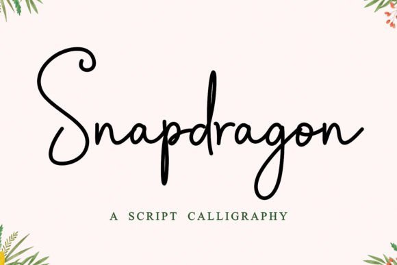 Snapdragon Font - Featured Image